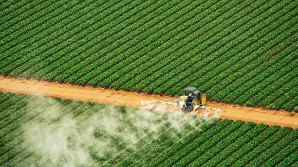 Pest Control Cost in Sigourney, IA